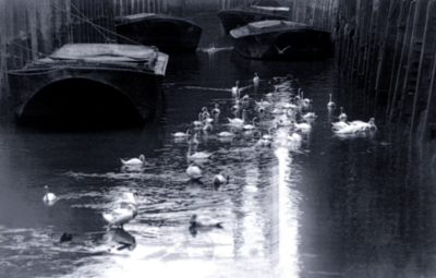 4  Shad Thames  1957