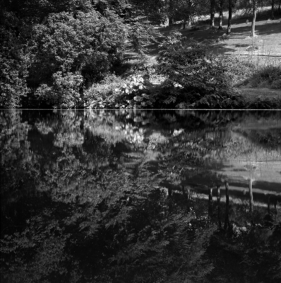 Newton Barton Reflections (1981)