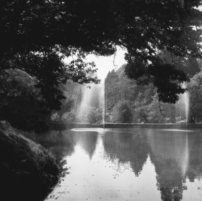 Newton Pond (1981)