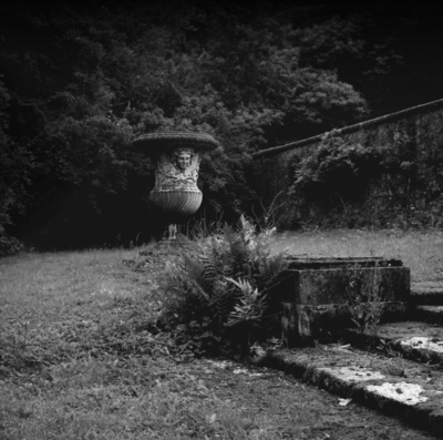 The Versailles Urn (1981)