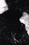 LANDSCAPE IN BLACK AND WHITE