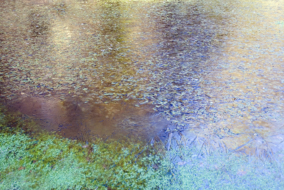 13  Ice Barley Splatt Pond  2002