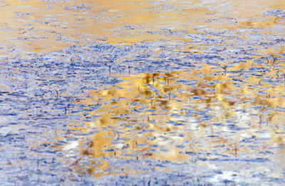 14  Ice Barley Splatt  Pond  1976