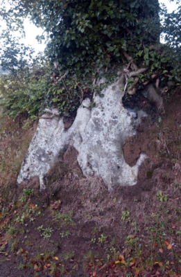 Tree Bole Whitestone (2011)