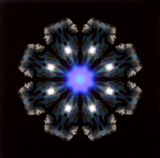 GRAPHICS