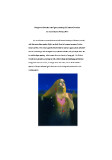 Site Images