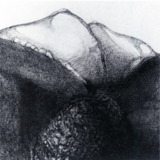 DRAWING - LANDSCAPE