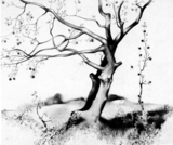 Site Images