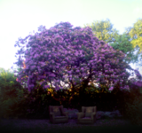 LANDSCAPE IN COLOUR