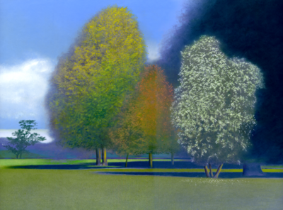 Blossom Trees ar Hinton Ampner (2018)
