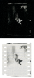 Site Images