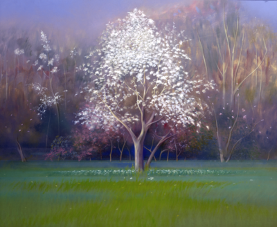 Blossom Tree, Early Morning (2005)