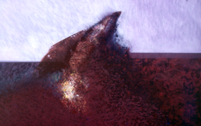 A 02 Beak Head Tor
