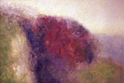 A 04 Red Bush