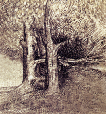The Haunted Grove