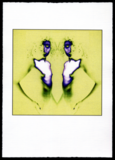 PRINTS FROM THE COMPUTER