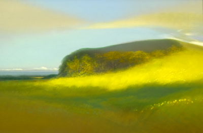 Devon Coast  2004