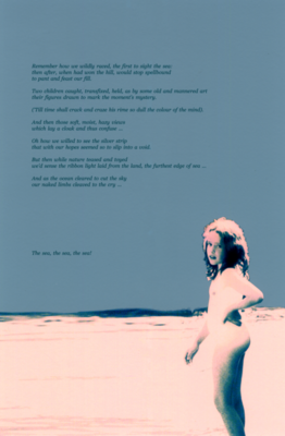 Sea Memories (or the first sighting)