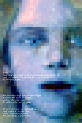 The Bottle Fly