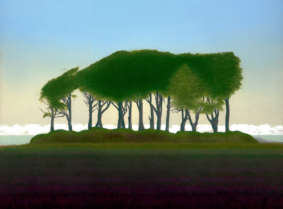 Grove of Trees Near Liskeard (2018)
