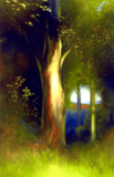 Woodland Edge Towards Evening (2005)