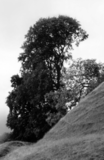 LANDSCAPE IN BLACK AND WHITE