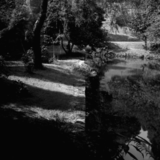 LANDSCAPE IN BLACK AND WHITE