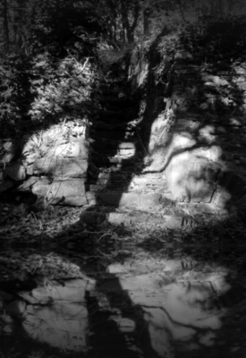 Steps Reflections