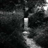 LANDSCAPE IN BLACK AND WHITE