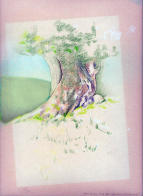 Tree Study (c1970)
