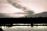 LANDSCAPE IN BLACK AND WHITE